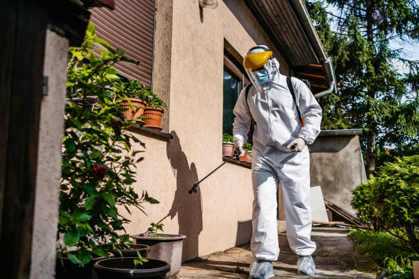 Professional Pest Control in Waynesboro, GA
