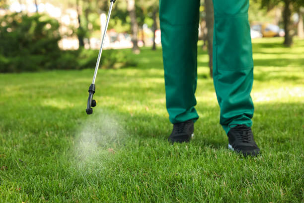 Best Ant Control Services  in Waynesboro, GA