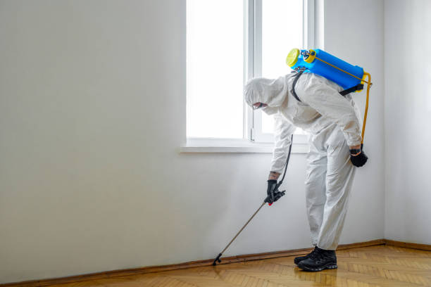 Pest Control for Restaurants in Waynesboro, GA