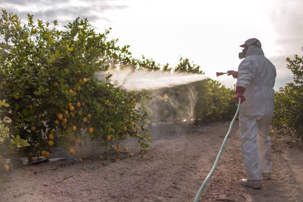 Best Local Pest Control Services  in Waynesboro, GA