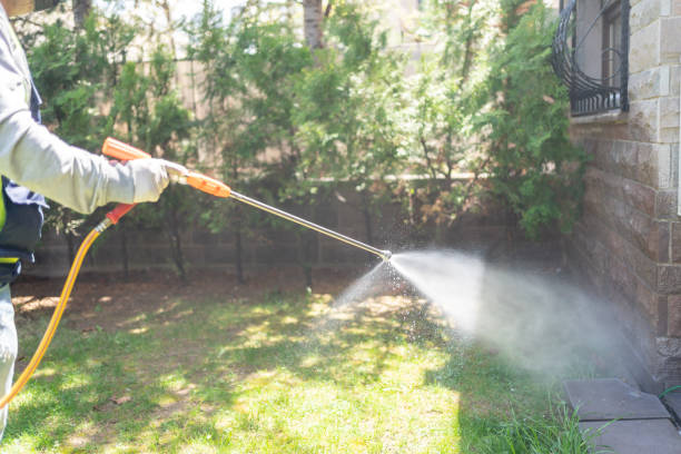 Best Pest Removal Services  in Waynesboro, GA
