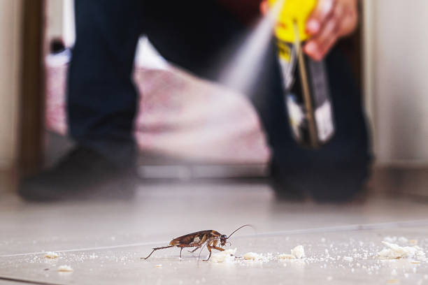 Best Exterminator Services  in Waynesboro, GA