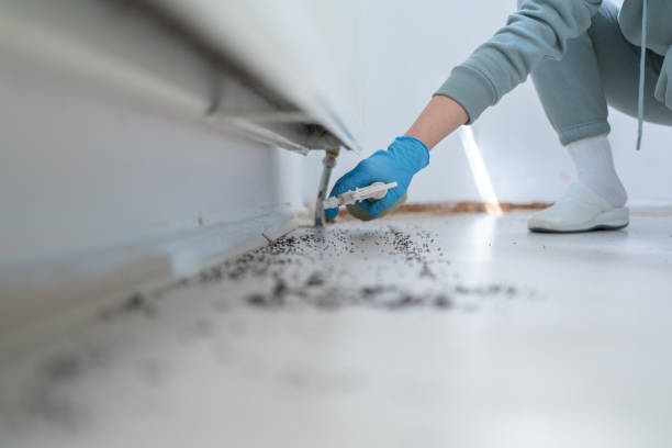 Best Wasp Removal Services  in Waynesboro, GA