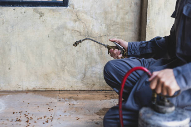 Best Exterminator Services  in Waynesboro, GA